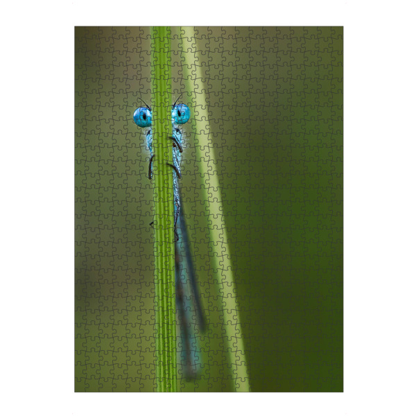 Puzzle Ravensburger "Libelle No. 3" artboxONE - Tiere - Insekt,Wild,Klein,Gras,Fliegen,Krabbeln,Käfer - Bild insekt