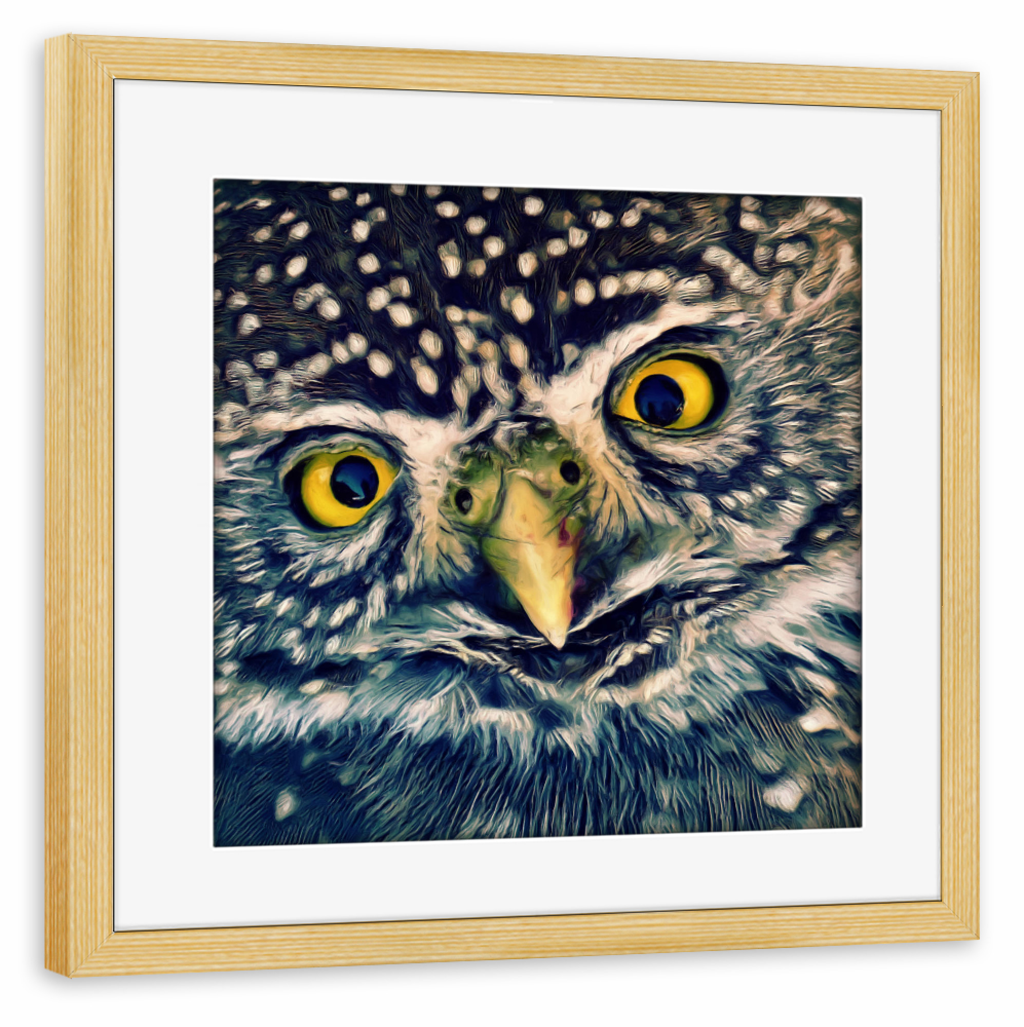 Poster mit Rahmen kiefer "Süße Eule" artboxONE - Tiere - Eule,Uhu,Schleiereule,Große augen,Nachtvogel,Tierportrait,Vogelportrait,Vogel