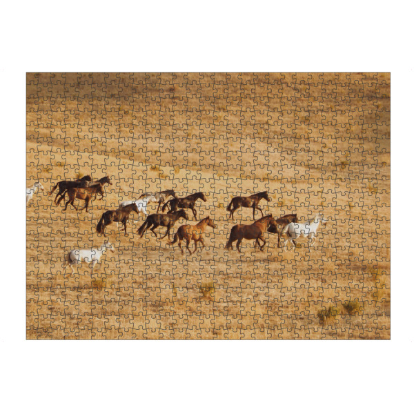 artboxONE Puzzle "Rasende Pferde" artboxONE - Tiere - Asien,Steppe,Wildpferde,Natur,Peta - Bild Asien