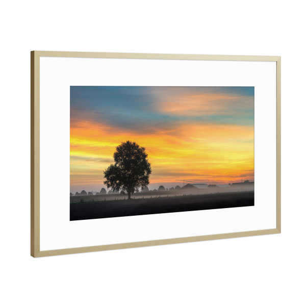 Poster mit Rahmen Gold "Morgenstimmung" artboxONE - Natur,Reise