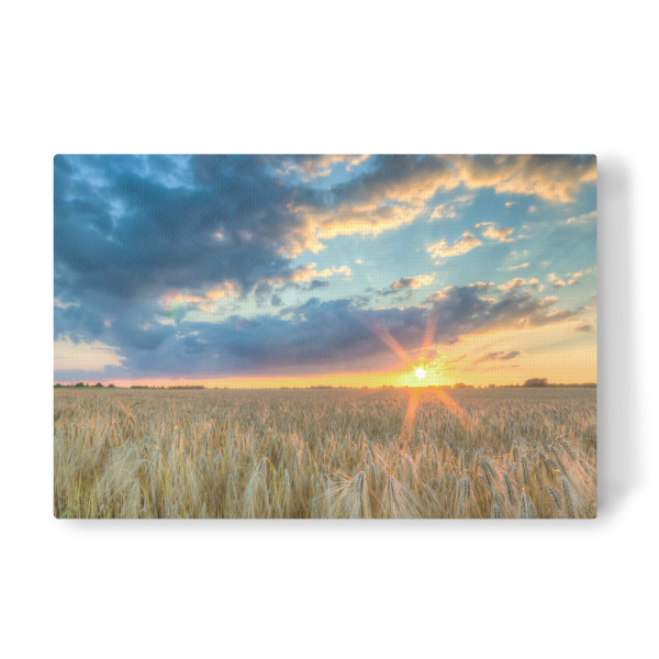 Leinwandbild "Sonnenuntergang im Getreide" artboxONE - Natur,Reise