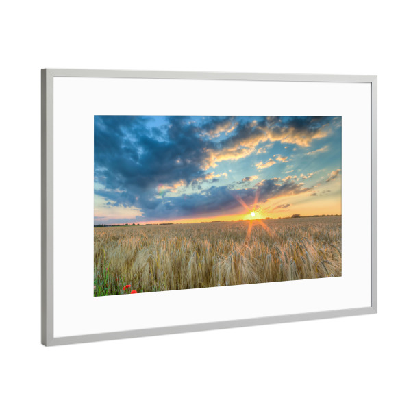 Poster mit Rahmen Silber "Sonnenuntergang im Getreide" artboxONE - Natur,Reise