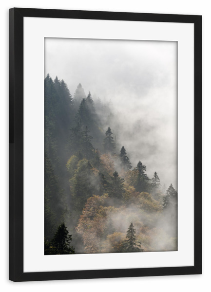 Poster mit Rahmen schwarz "Nebelwald" artboxONE - Natur,Reise - Mountain,Nature,Getaway,Stones,Baum,Tree,Clouds,Wolken,Nebel,Foggy,Kalt,Winter,Cold