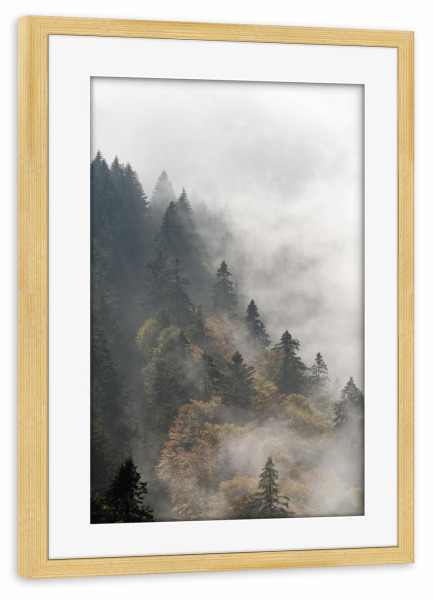Poster mit Rahmen kiefer "Nebelwald" artboxONE - Natur,Reise - Mountain,Nature,Getaway,Stones,Baum,Tree,Clouds,Wolken,Nebel,Foggy,Kalt,Winter,Cold