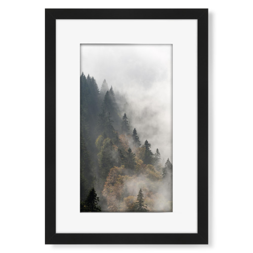Nebelwald