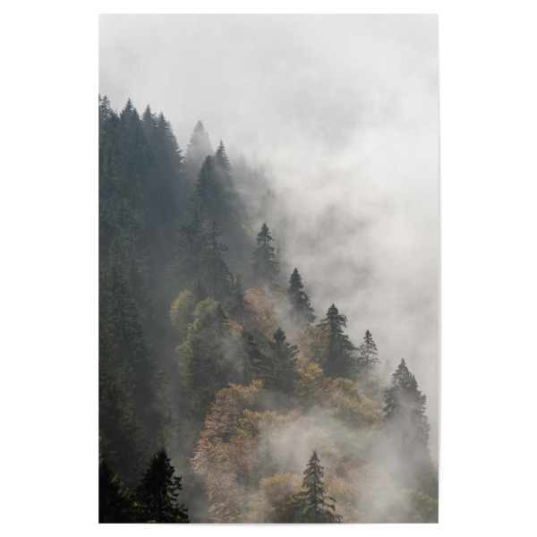 Poster 30x20 cm "Nebelwald" artboxONE - Natur,Reise - Mountain,Nature,Getaway,Stones,Baum,Tree,Clouds,Wolken,Nebel,Foggy,Kalt,Winter,Cold