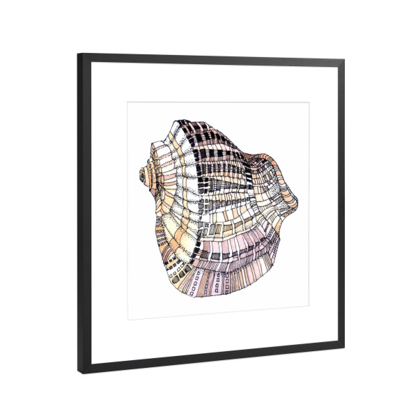 Poster mit Rahmen Schwarz (Metallic) "Shell" artboxONE - Abstrakt