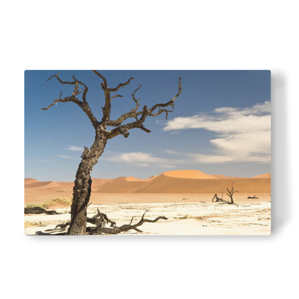 Leinwandbild "Knorrig" artboxONE - Natur - Steppe,Dünen,Savanne,Baum,Ast,Himmel,Dürre