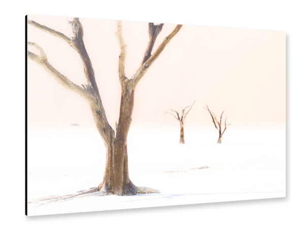 Alu-Dibond "Treesome" 30x20 cm artboxONE