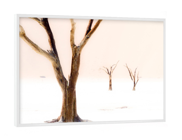 Poster mit weißem Rahmen "Treesome" artboxONE - Natur - Baum,Tree,Natur,Nature,Wüste,Sand,Landschaft,Holz,Kahl,Baumstamm