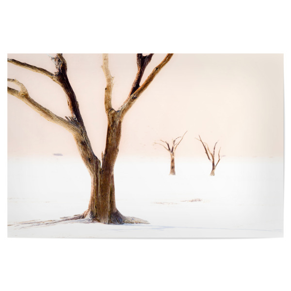 Poster "Treesome" artboxONE - Natur - Baum,Tree,Natur,Nature,Wüste,Sand,Landschaft,Holz,Kahl,Baumstamm