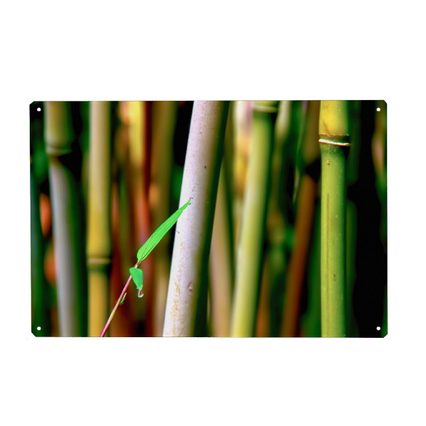 Holzbild "Bamboo" artboxONE - Natur - Bambus,Buddha,Asien