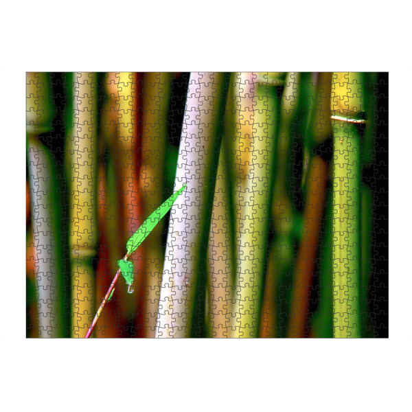 Puzzle Ravensburger "Bamboo" artboxONE - Natur - Bambus,Buddha,Asien - Bild Bambus
