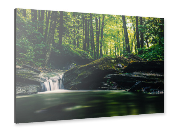 Alu-Dibond "Bächlein im Wald" 30x20 cm artboxONE