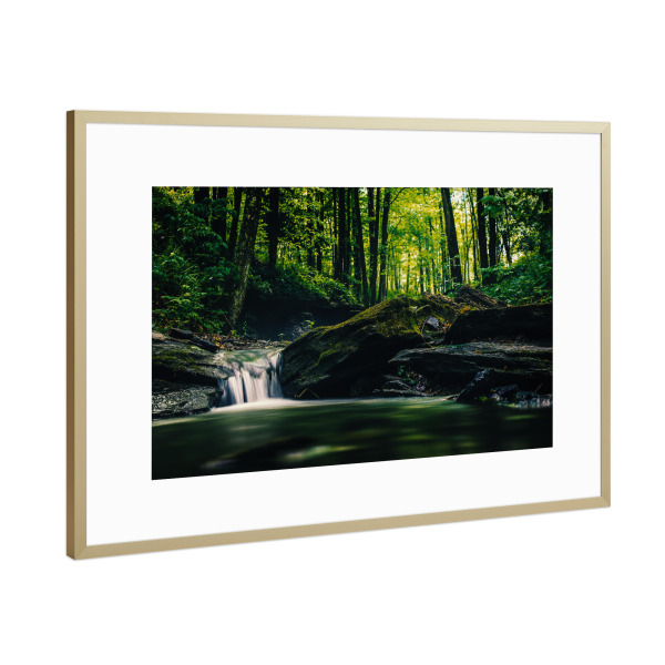 Poster mit Rahmen Gold "Bächlein im Wald" artboxONE - Natur - Bach,Wasserfall,Fluß,Moos,Bäume,See,Froschperspektive