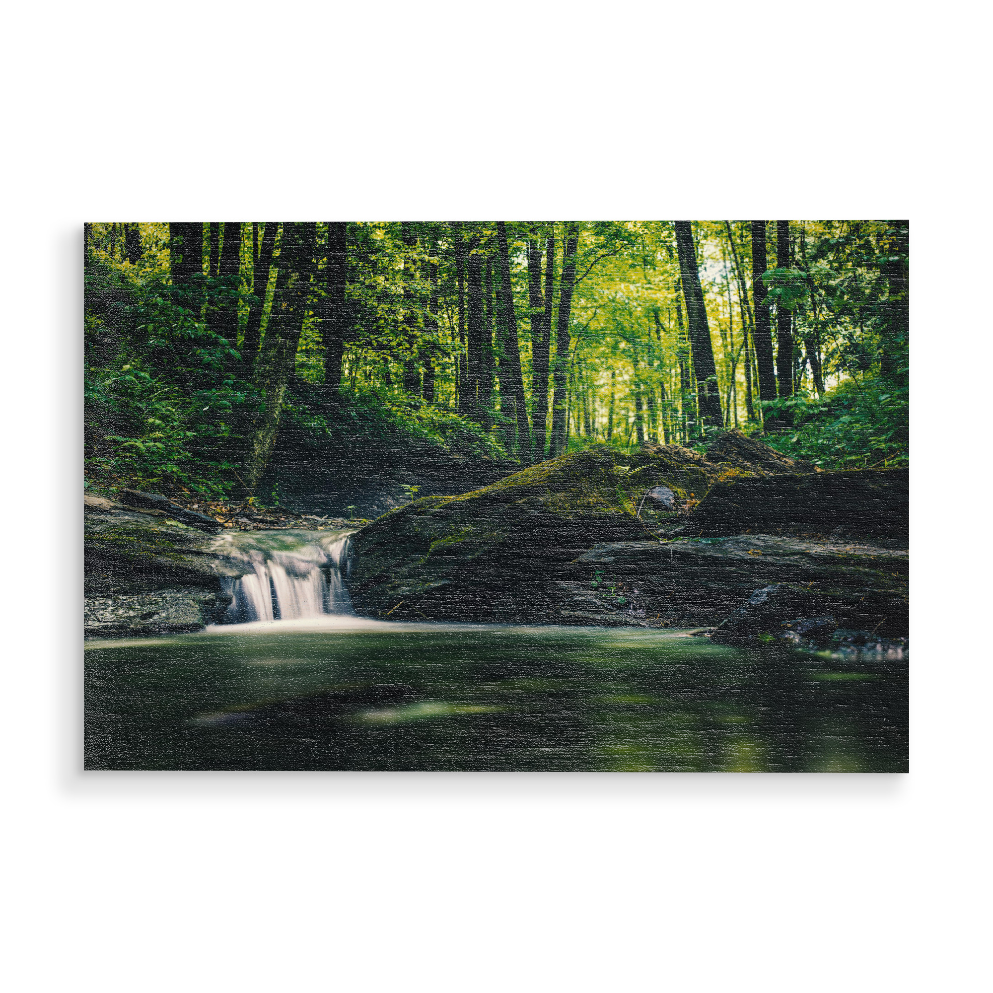 Holzbild "Bächlein im Wald" artboxONE - Natur - Bach,Wasserfall,Fluß,Moos,Bäume,See,Froschperspektive