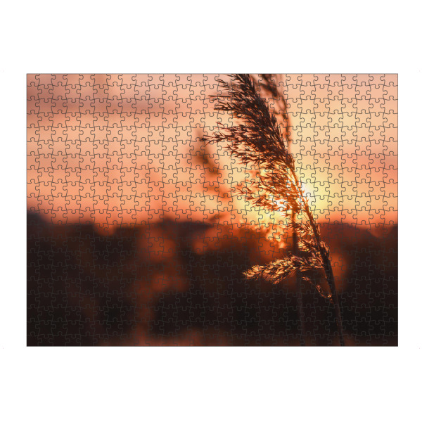 artboxONE Puzzle "Schilf" artboxONE - Natur - Tiefenschärfe,Schärfentiefe,Schiefentärfe,Gerste,Getreide,Sonnenuntergang,Wiese,Feld,Horizont