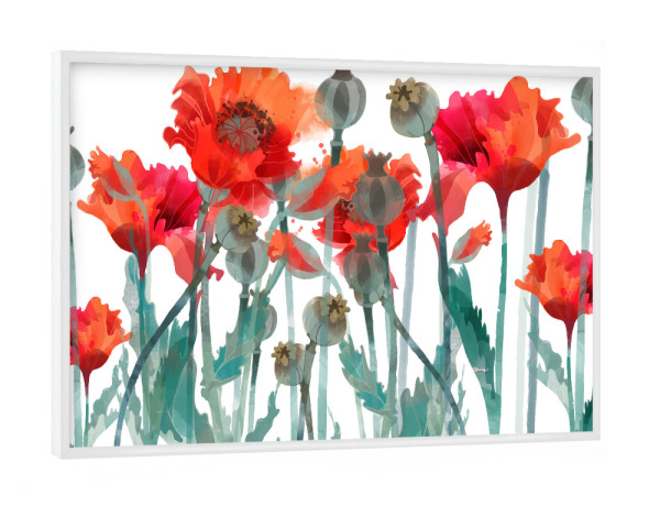 Poster mit weißem Rahmen "Mohnfeld" artboxONE - Floral - Blumen,Frühsommer,Klatschmohn,Kapsel