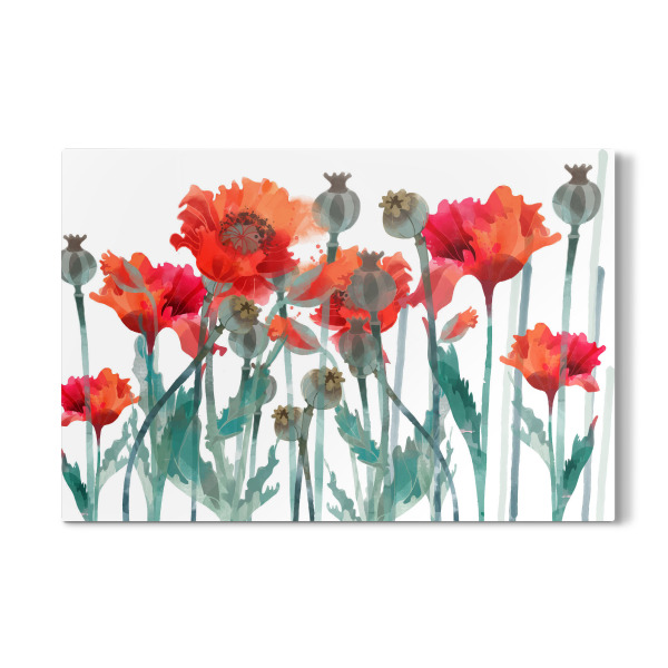 Galerie-Print "Mohnfeld" 30x20 cm artboxONE