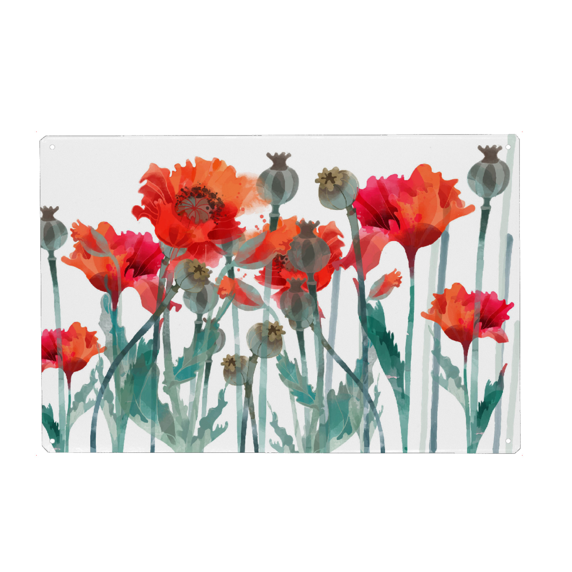 Metall Poster "Mohnfeld" artboxONE - Floral - Blumen,Frühsommer,Klatschmohn,Kapsel - Blechschild