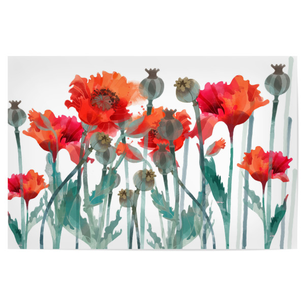 Poster 30x20 cm "Mohnfeld" artboxONE - Floral - Blumen,Frühsommer,Klatschmohn,Kapsel