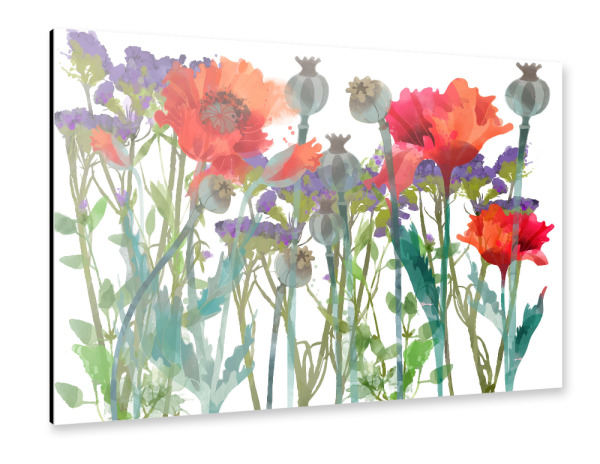 Alu-Dibond "Mohnblumen II" 30x20 cm artboxONE
