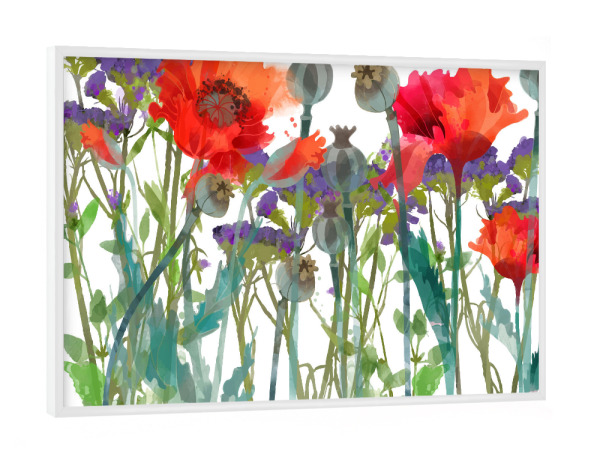 Poster mit weißem Rahmen "Mohnblumen II" artboxONE - Floral - Blumen,Frühsommer,Klatschmohn,Kapsel