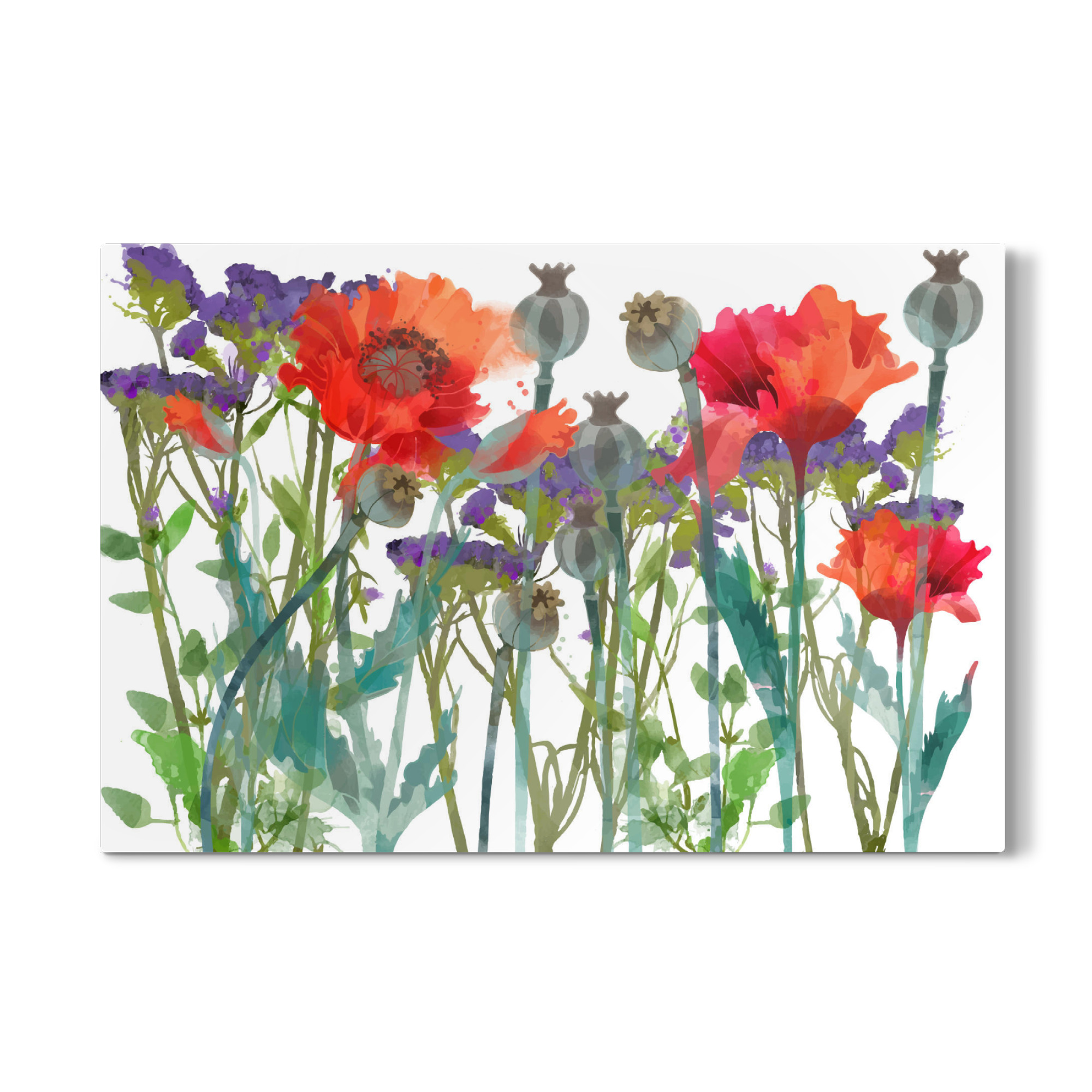 Galerie-Print "Mohnblumen II" 75x50 cm artboxONE