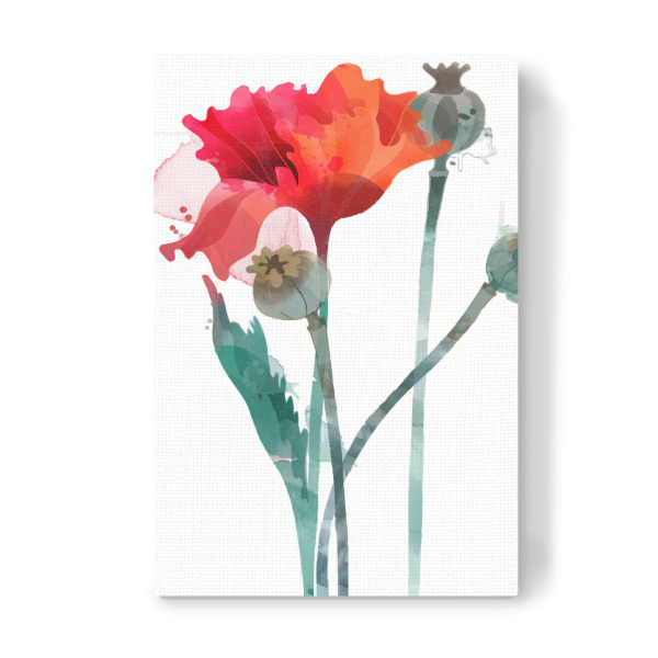 Leinwandbild "Mohnblumen III" artboxONE - Floral - Blumen,Frühsommer,Klatschmohn,Kapsel