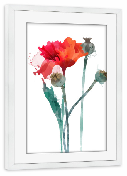 Poster mit Rahmen weiß "Mohnblumen III" artboxONE - Floral - Blumen,Frühsommer,Klatschmohn,Kapsel
