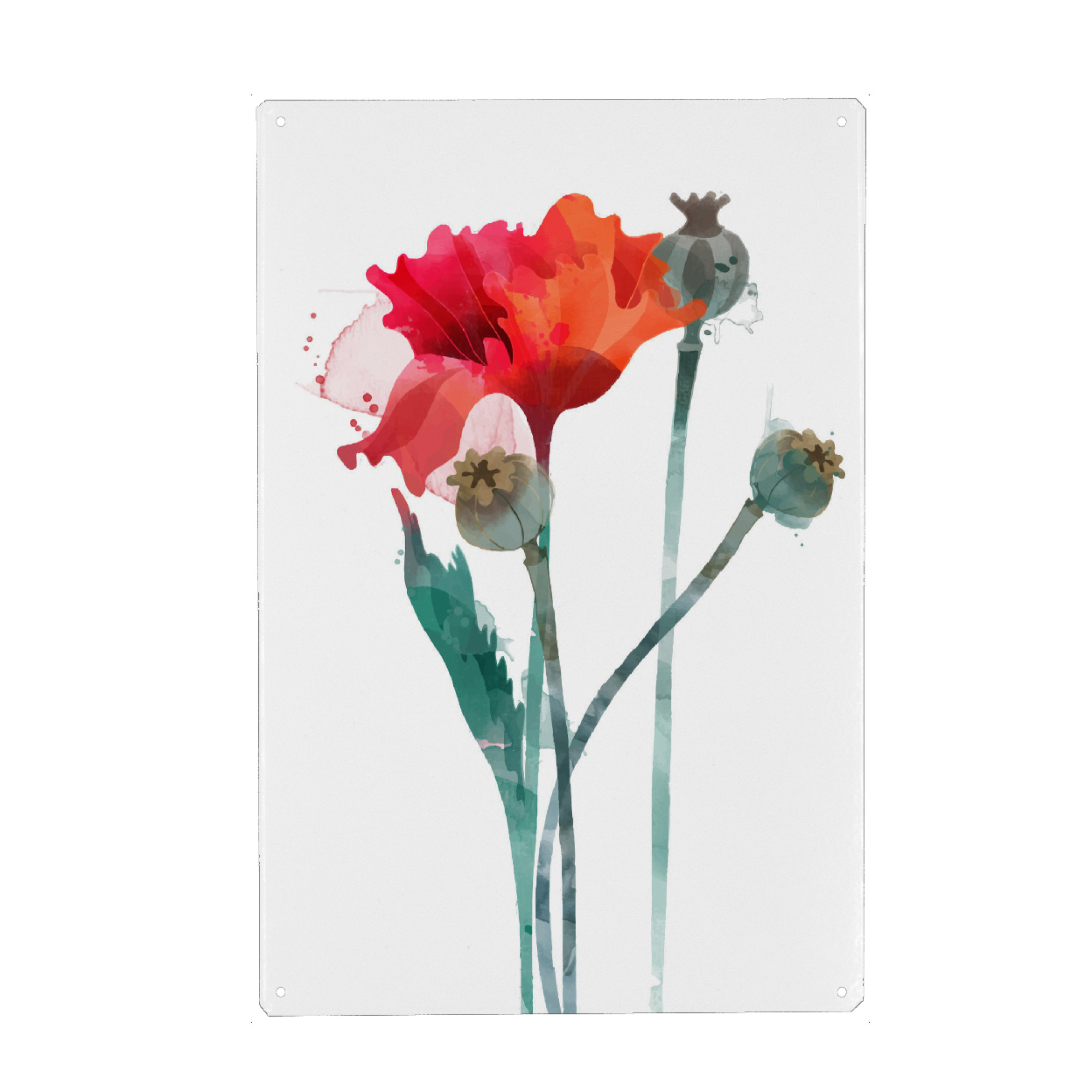 Metall Poster "Mohnblumen III" artboxONE - Floral - Blumen,Frühsommer,Klatschmohn,Kapsel - Blechschild