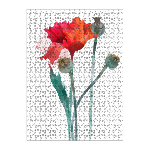 artboxONE Puzzle "Mohnblumen III" artboxONE - Floral - Blumen,Frühsommer,Klatschmohn,Kapsel - Bild blumen