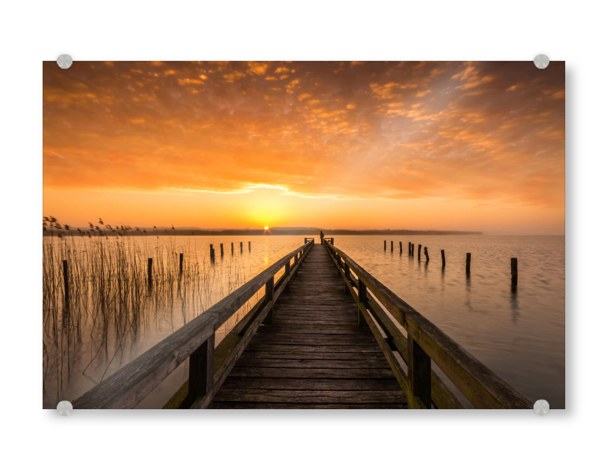 Acrylglasbild "Sonnenaufgang 2" artboxONE - Natur - Meer,Steg,Weitsicht,Fernblick,Sonne,Sommer,See,Sträucher