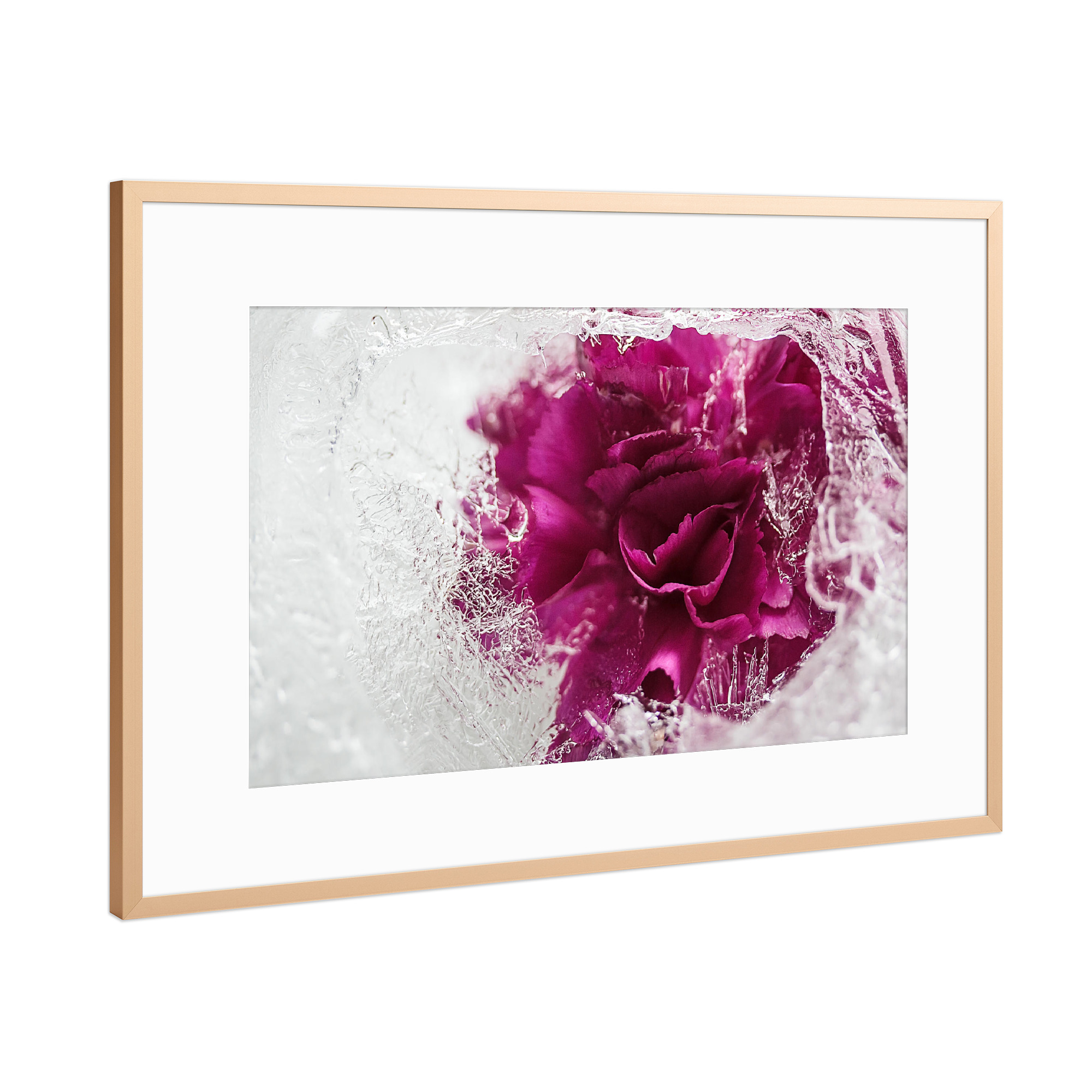 Poster mit Rahmen Kupfer "Icebound" artboxONE - Natur - Stieg,Eis,Eisrose,Eisig,Eiskristalle,Gefroren,Gefroren,Winter,Rose,Rosé,Flotter,Blume
