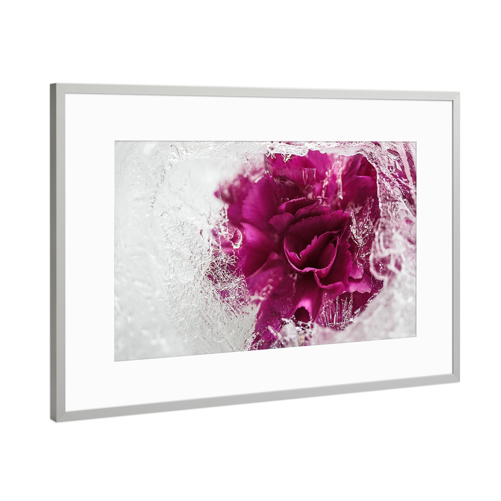 Poster mit Rahmen Silber "Icebound" artboxONE - Natur - Stieg,Eis,Eisrose,Eisig,Eiskristalle,Gefroren,Gefroren,Winter,Rose,Rosé,Flotter,Blume