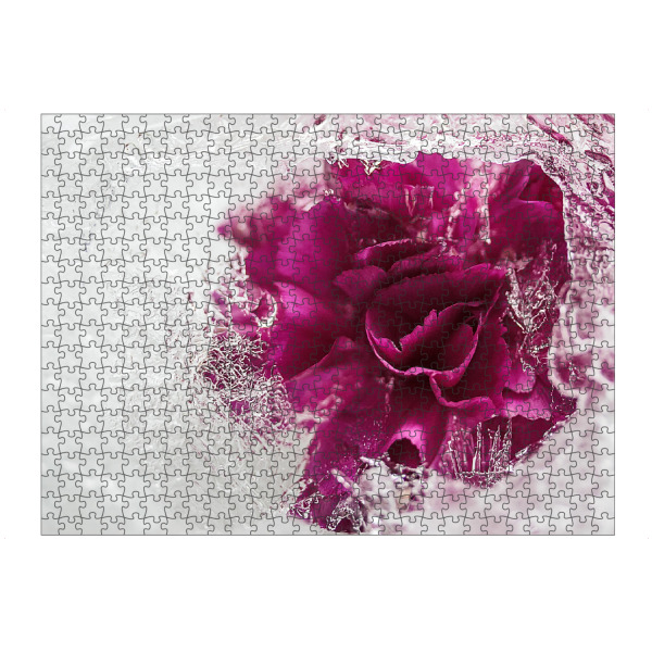Puzzle Ravensburger "Icebound" artboxONE - Natur - Stieg,Eis,Eisrose,Eisig,Eiskristalle,Gefroren,Gefroren,Winter,Rose,Rosé,Flotter,Blume