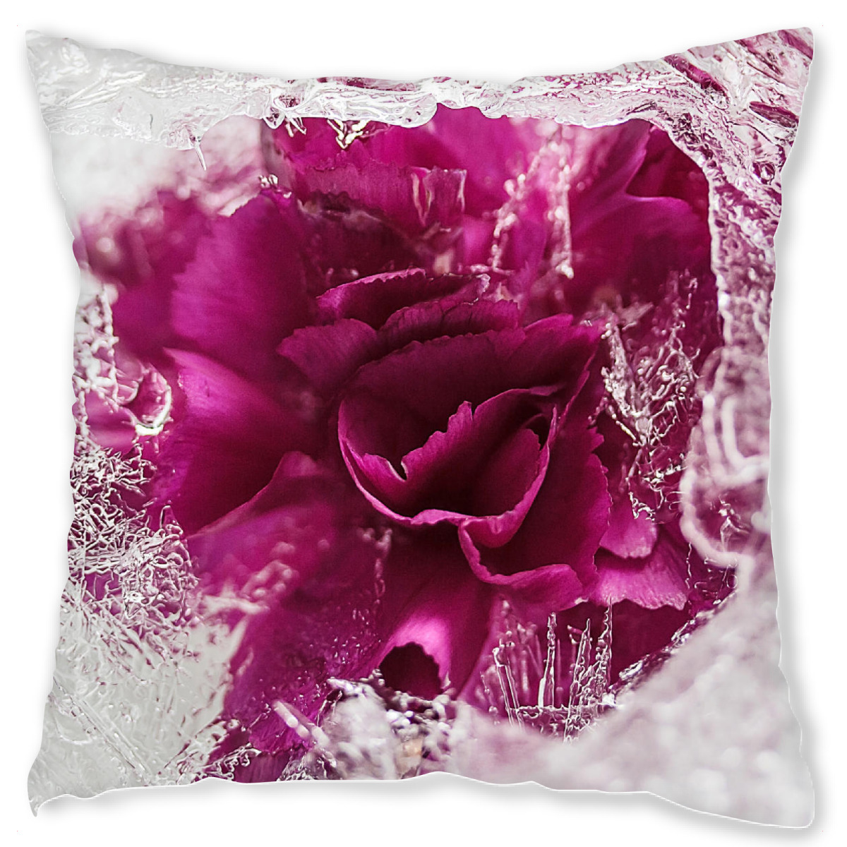 Design-Kissen "Icebound" artboxONE - Natur - Stieg,Eis,Eisrose,Eisig,Eiskristalle,Gefroren,Gefroren,Winter,Rose,Rosß ,Flotter,Blume