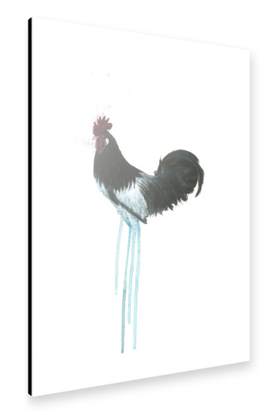 Alu-Dibond "Gockel schwarzweiß 2" 30x20 cm artboxONE