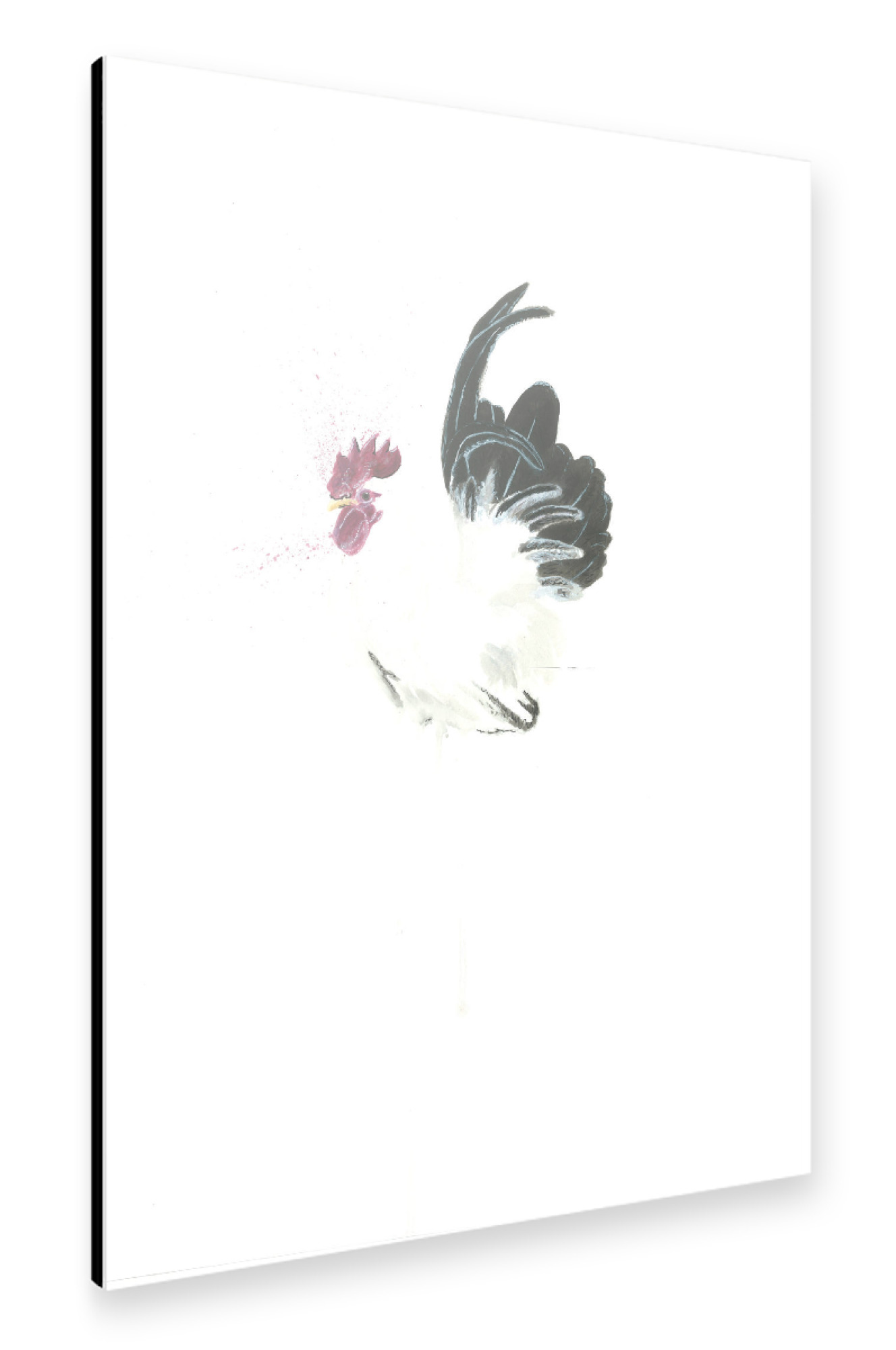 Alu-Dibond "Der Gockel" 75x50 cm artboxONE