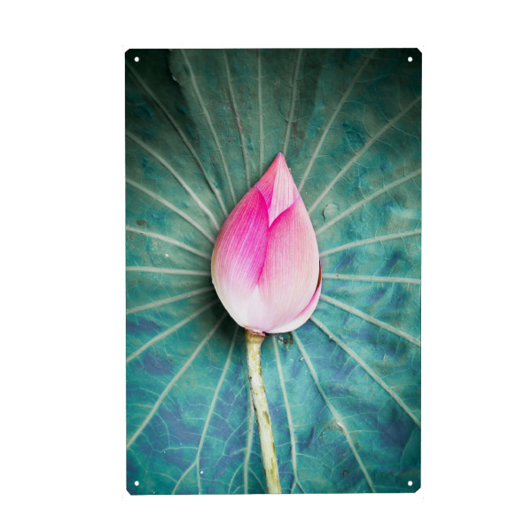 Holzbild "Lotus closed" artboxONE - Natur,Reise / Asien - Lotus,Blüte,Natur,Lotusblüte,Blume,Flower,Nature