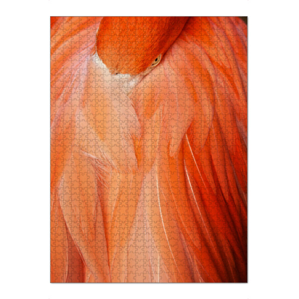 Puzzle Ravensburger "Flamingo royal 3" artboxONE - Tiere - Flamingo,Tier,Federn,Auge,Animal,Feather - Bild flamingo