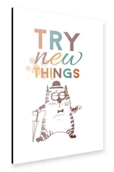 Alu-Dibond "Try new things" 30x20 cm artboxONE