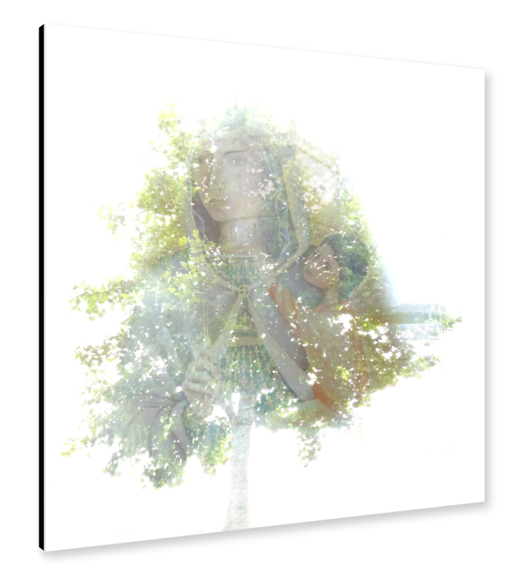 Alu-Dibond "Transparent Tree X" 30x30 cm artboxONE