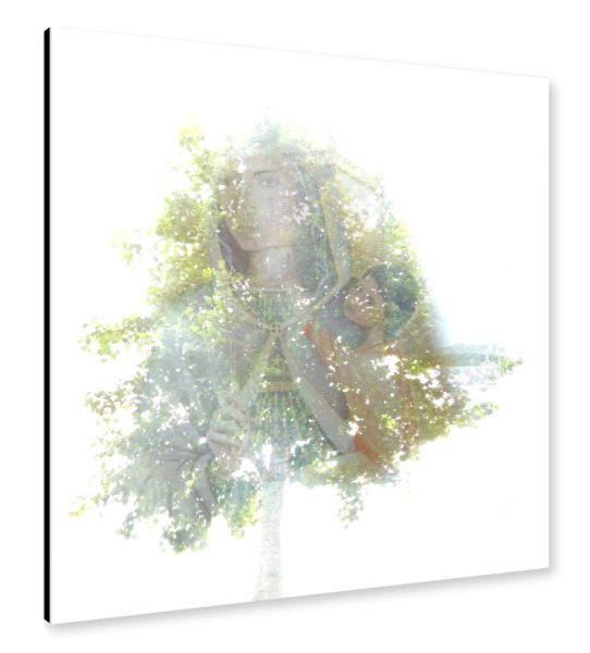 Alu-Dibond "Transparent Tree X" 30x30 cm artboxONE