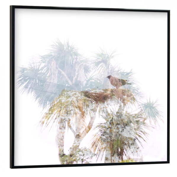 Poster mit schwarzem Rahmen 30x30 cm "Transparent Tree IX" artboxONE - Natur,Abstrakt,Illustration,Sommer