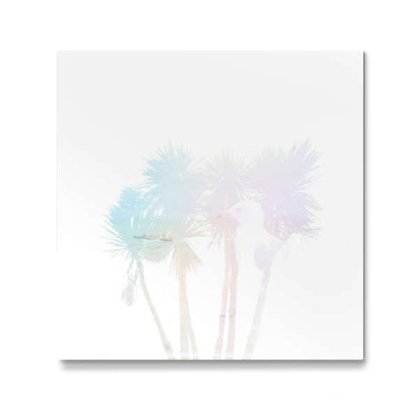 Galerie-Print "Transparent Tree VII" 30x30 cm artboxONE