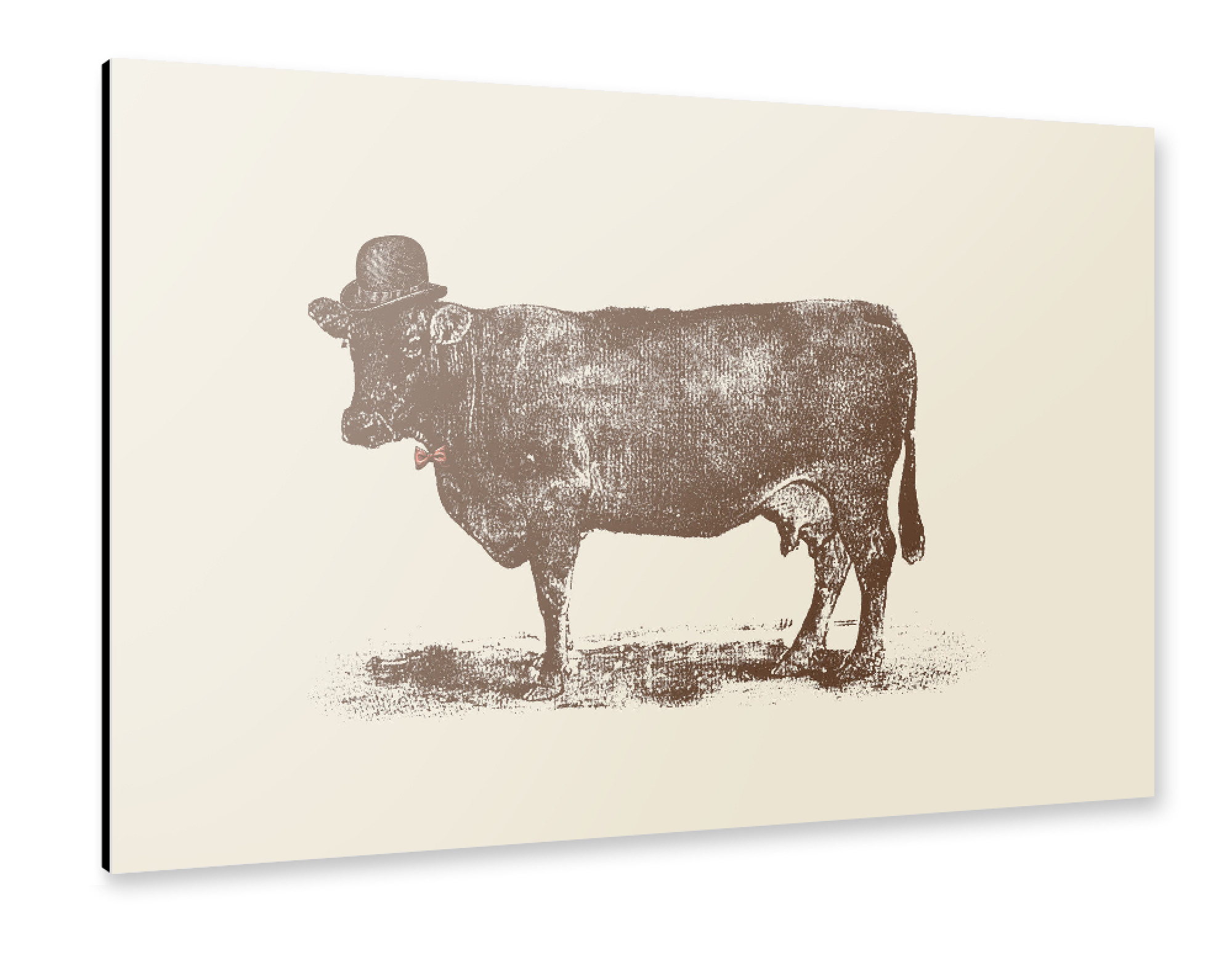 Alu-Dibond "Cow Cow Nut I" 30x20 cm artboxONE