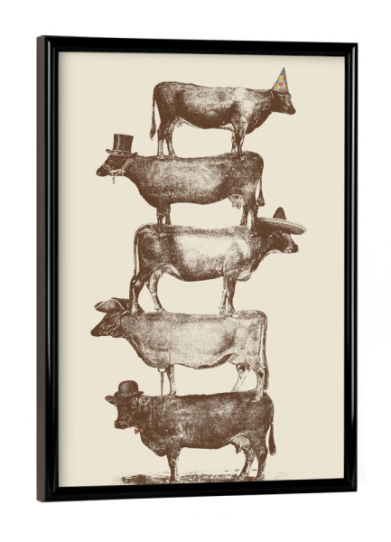 Poster mit schwarzem Rahmen "Cow Cow Nut II" artboxONE - Tiere - Kühe,Kuh,Kuhstapel,Kuhparade,Pyramide,Stapel,Gestapelt