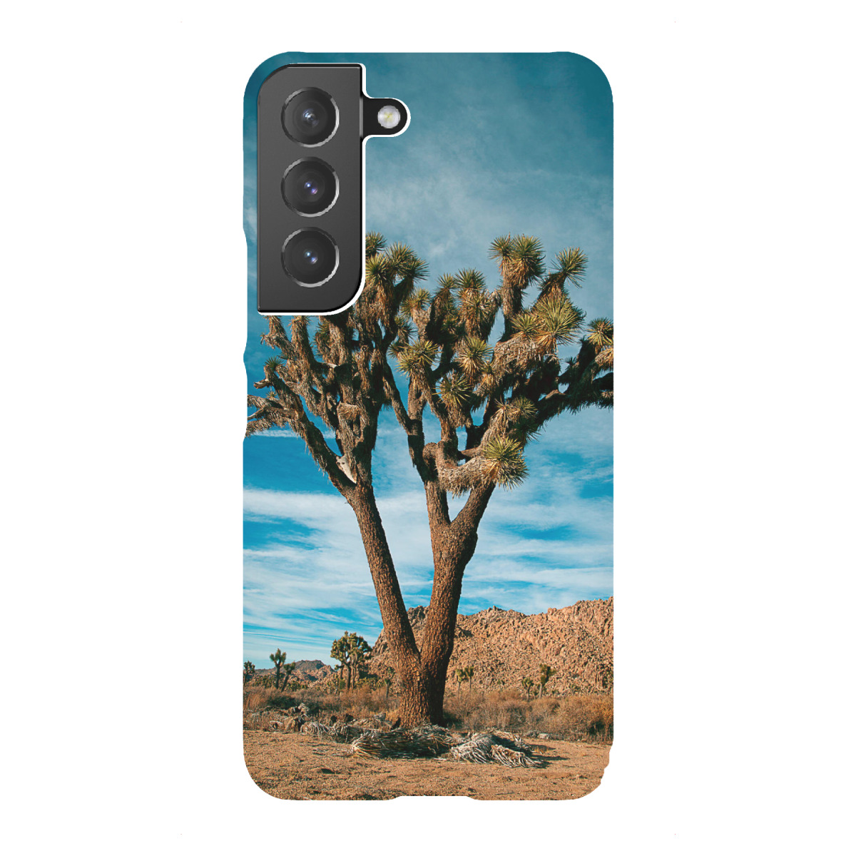 Samsung Galaxy "Joshua Tree 2" Premium-Case Handyhülle artboxONE