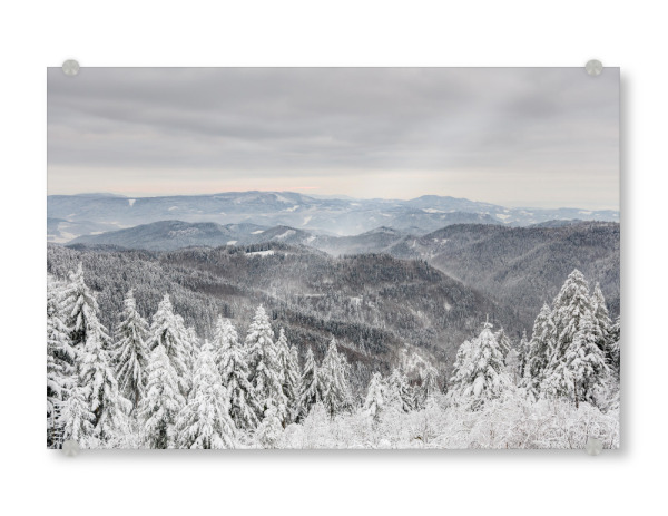 Acrylglasbild "Schwarzwald Winter 2" artboxONE - Natur,Reise - Bäume,Tree,Berge,Mountain